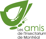 Les amis de l'insectarium
